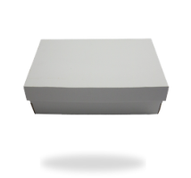 Dus Sepatu Duplek + Kraft - 3