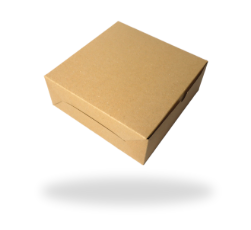 Lunch Box Kraft 20x20 - 4