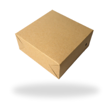 Lunch Box Kraft 18x18 - 4