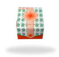 Innerbox Snack Orange - 3