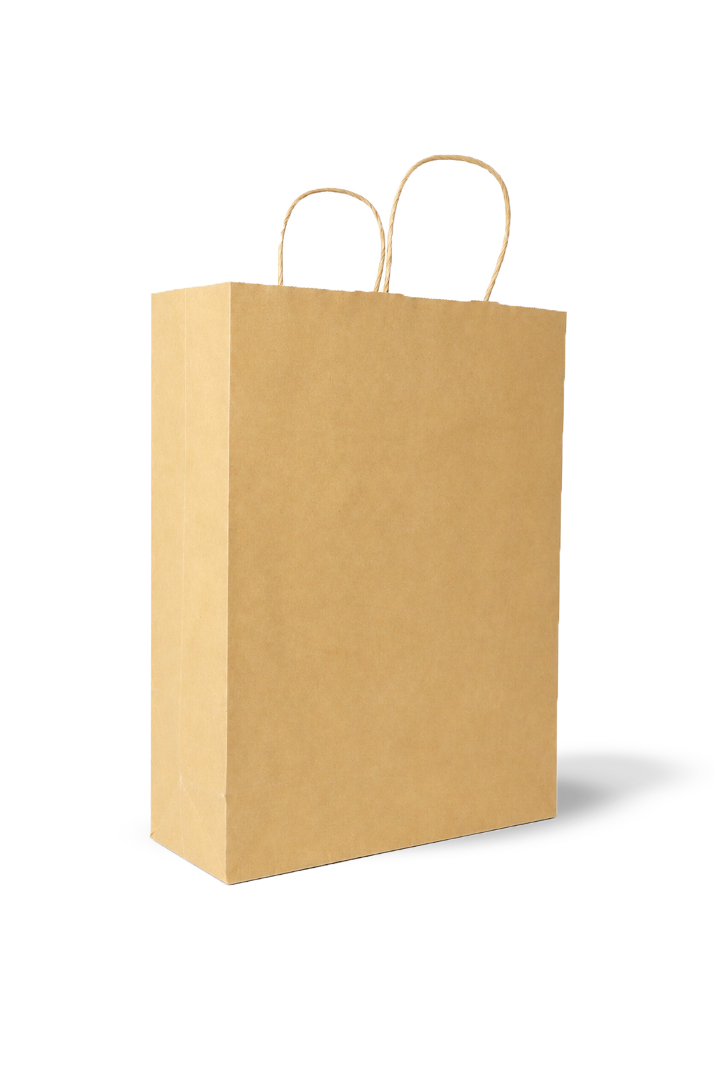 Paperbag Kraft Polos (M) - 3
