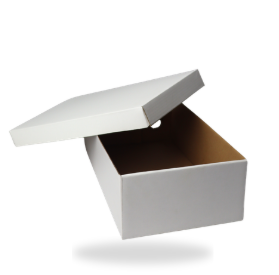 Dus Sepatu Putih - 3