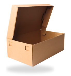 Innerbox Dus Sepatu - 4