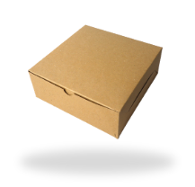 Lunch Box Kraft 20x20 - 3